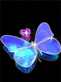 butterfly 06.Gif